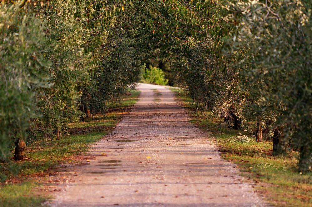 Agriturismo Casagrande Montepulciano Stazione Екстериор снимка
